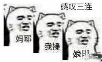 我不接盘你急啥,你为何如此焦急?揭秘背后的心理动机 第2张 我不接盘你急啥,你为何如此焦急?揭秘背后的心理动机 第2张