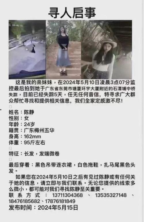 十日寻人,探寻自我与命运的深度之旅