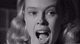 桑迪·韦克斯勒 第2张 桑迪·韦克斯勒 第2张