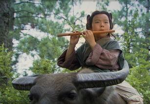 天师下山镇蛮夷,神秘力量与蛮荒世界的传奇对决 第3张 天师下山镇蛮夷,神秘力量与蛮荒世界的传奇对决 第3张